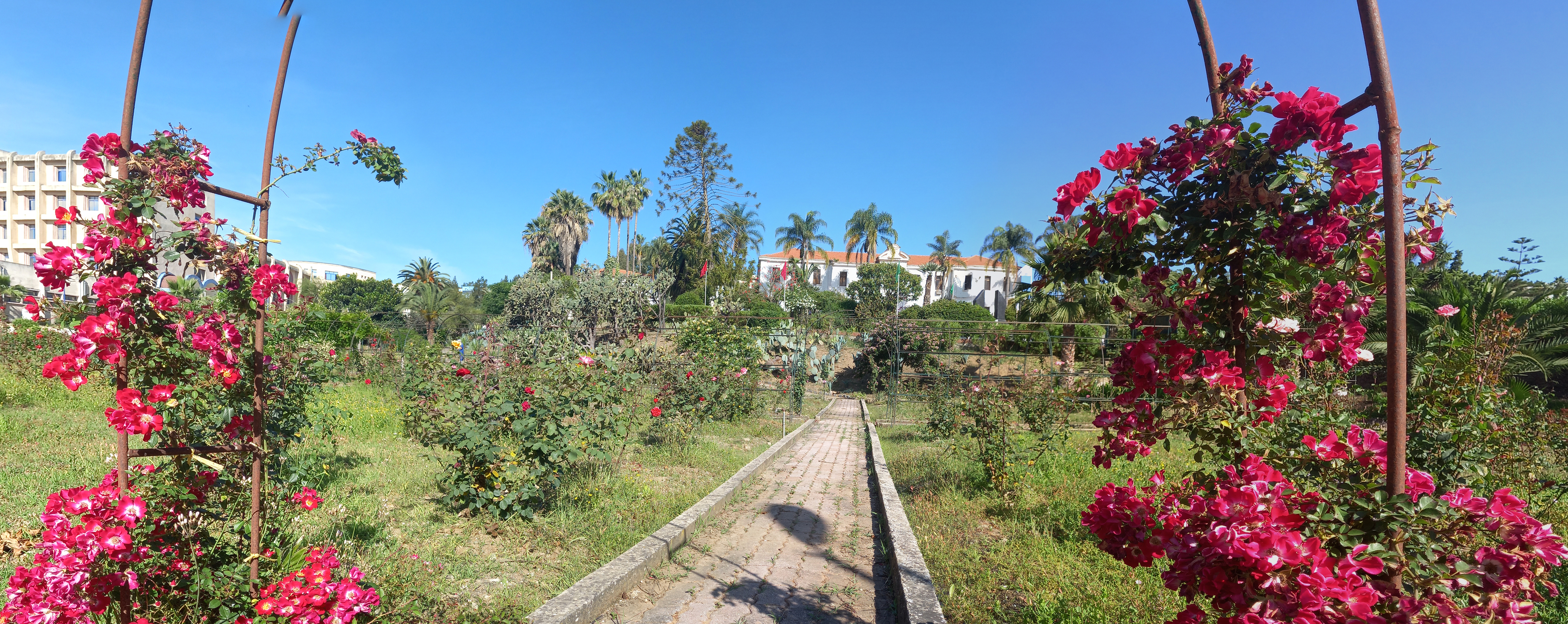 Image de l'université